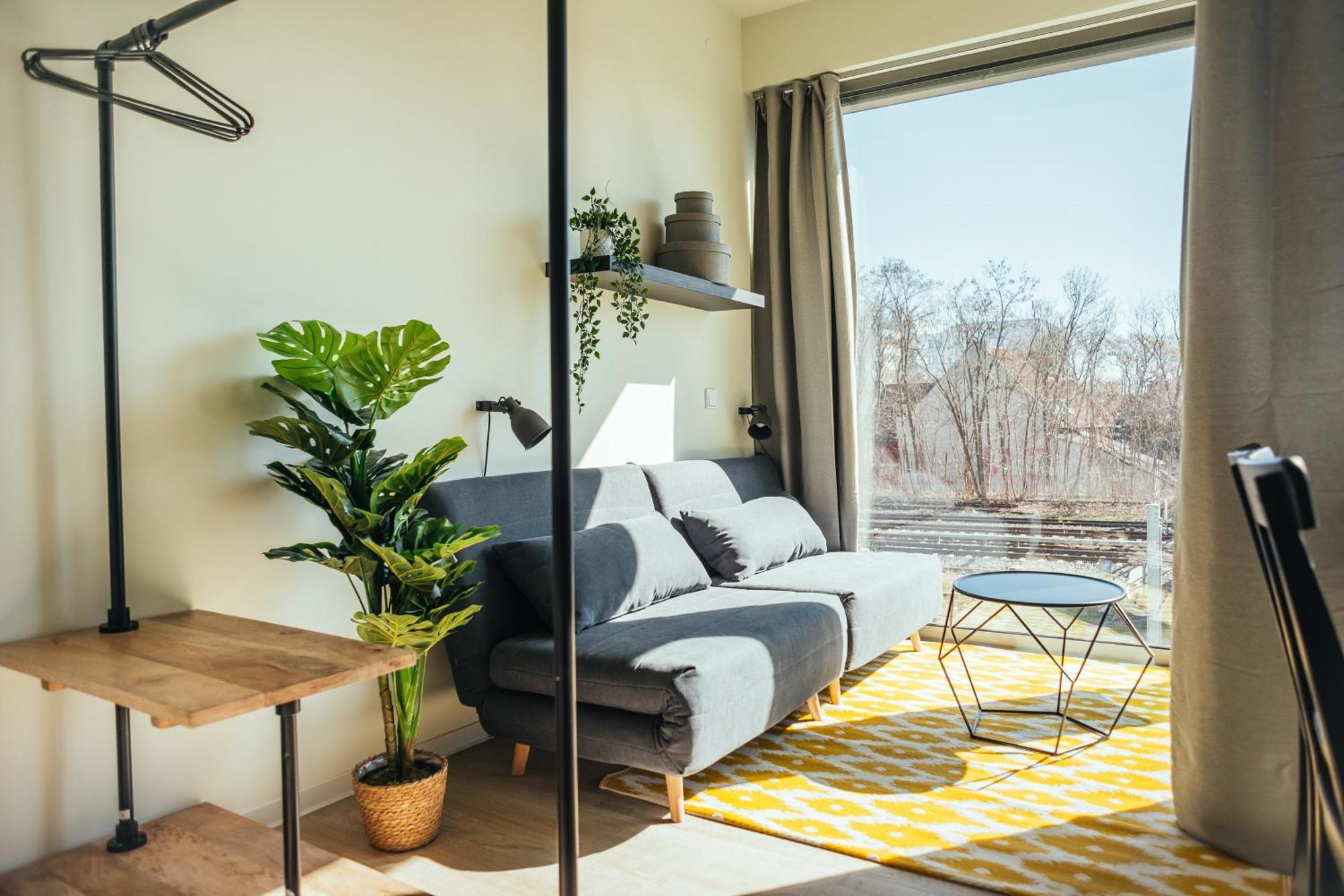 The Rix Studios & Suites — Photos 1